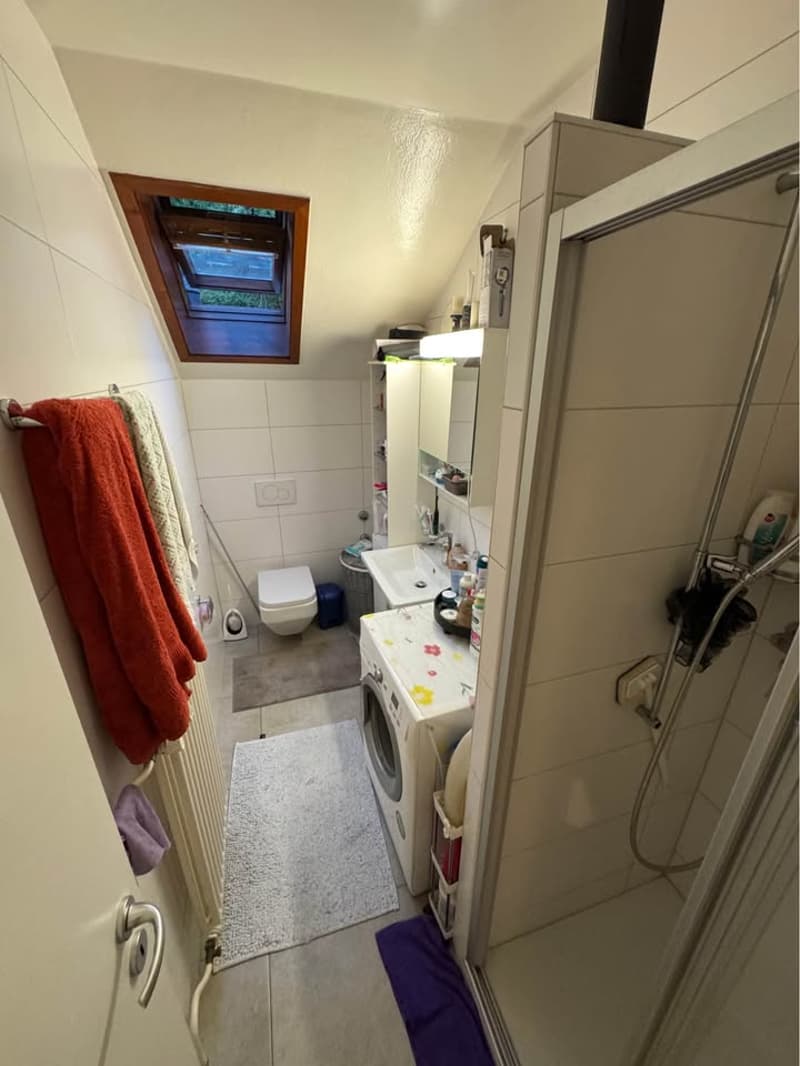 Bel appartement de 3 pièces (7)