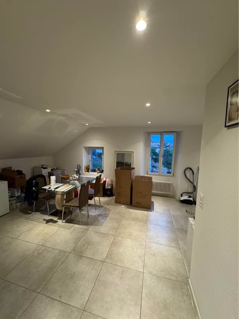 Bel appartement de 3 pièces (2)