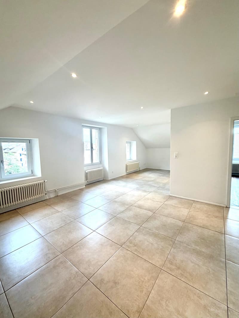 Bel appartement de 3 pièces (3)