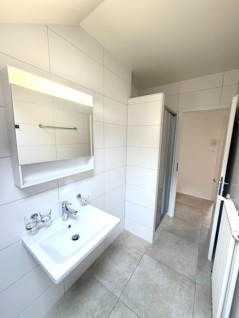 Bel appartement de 3 pièces (8)