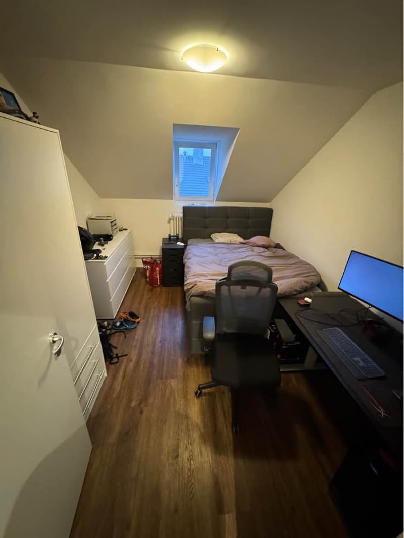 Bel appartement de 3 pièces (6)