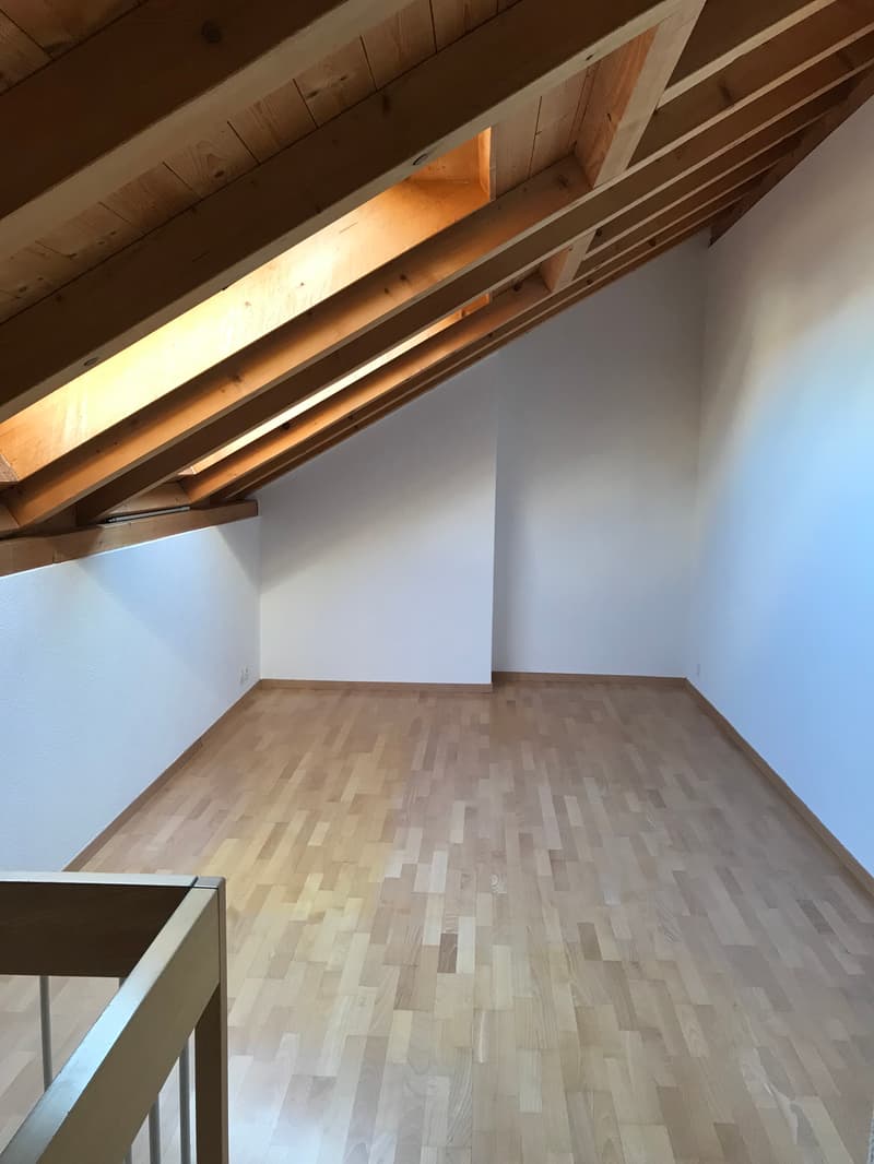Appartement de 3 pièces en duplex situé au 3ème étage (6)
