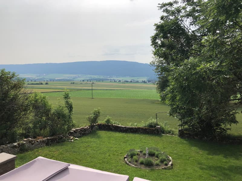 Magnifique appartement de 5.5 pièces dans un écrin de verdure (7)