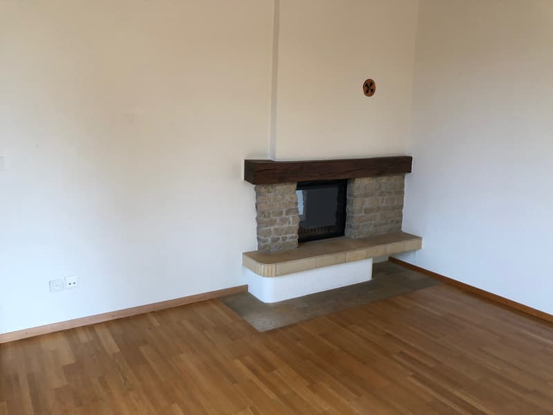 Magnifique appartement de 5.5 pièces dans un écrin de verdure (6)