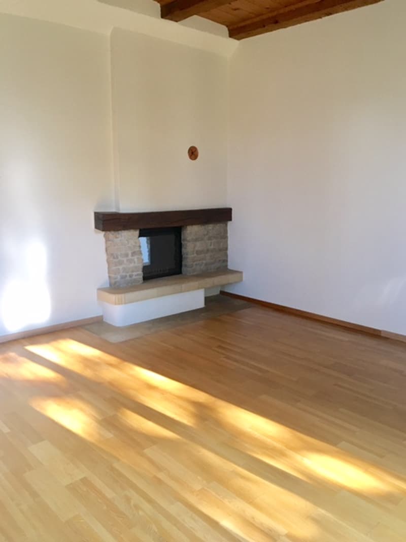 Magnifique appartement de 5.5 pièces dans un écrin de verdure (12)