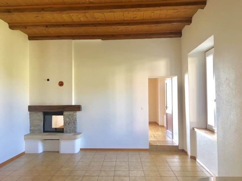 Magnifique appartement de 5.5 pièces dans un écrin de verdure (10)