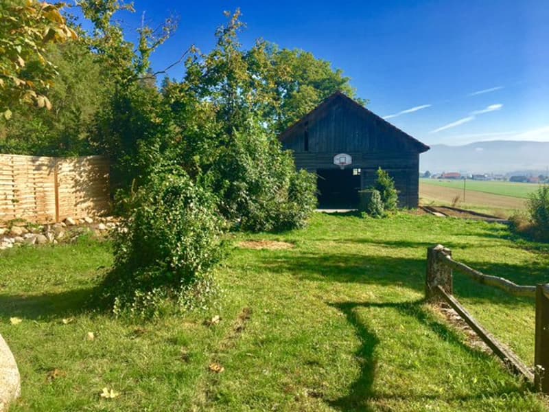 Magnifique appartement de 5.5 pièces dans un écrin de verdure (1)