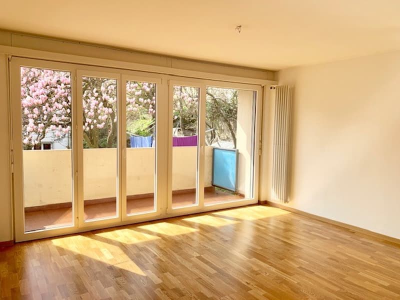 Bel appartement idéalement situé (1)