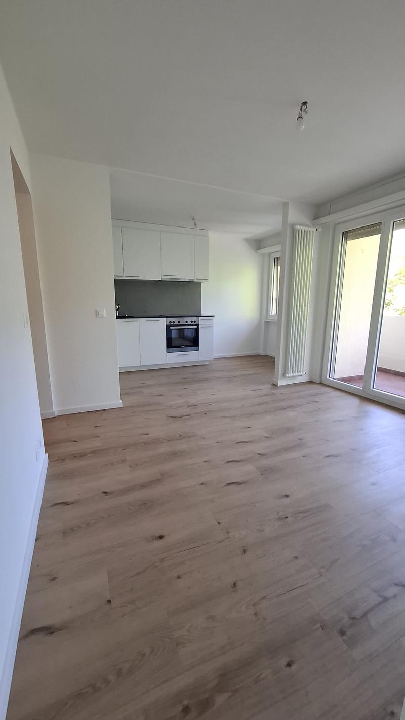 Appartement 2 pièces entièrement rénové (1)