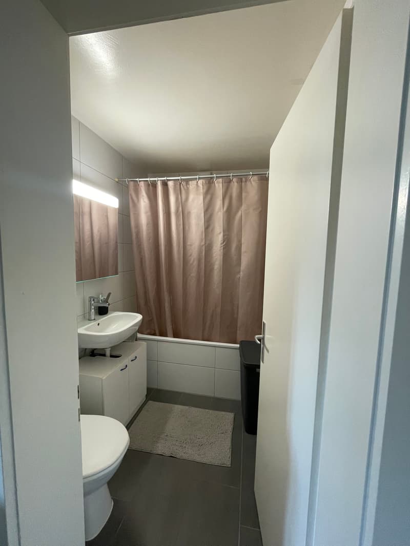 Bel appartement de 2 pièces situé au 4ème étage avec ascenseur (5)