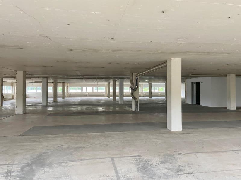 Gewerbe in Höri (4)