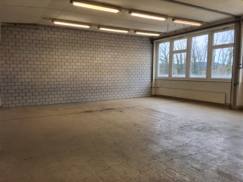 Espaces commerciaux idéaux pour les petites entreprises à la périphérie de la zone industrielle (5)