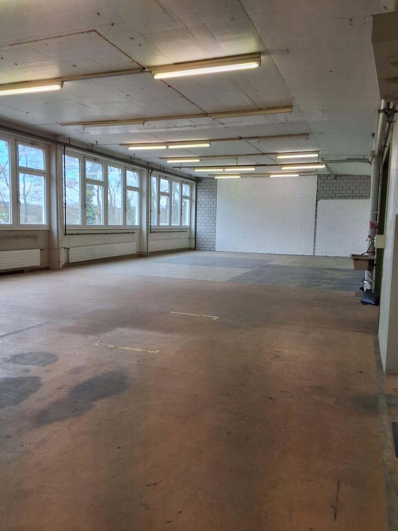 Espaces commerciaux idéaux pour les petites entreprises à la périphérie de la zone industrielle (3)