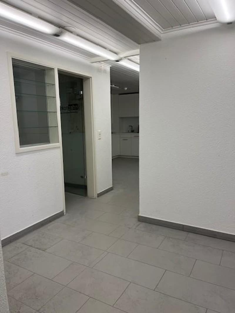 Ampio spazio con cortile interno verde (2)