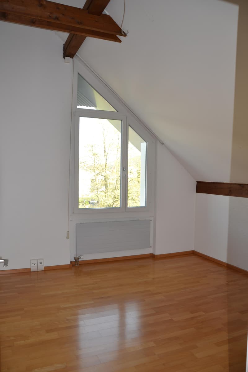 Ampio appartamento in mansarda (6)