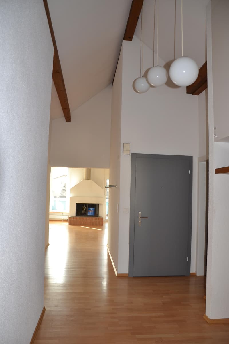 Ampio appartamento in mansarda (5)