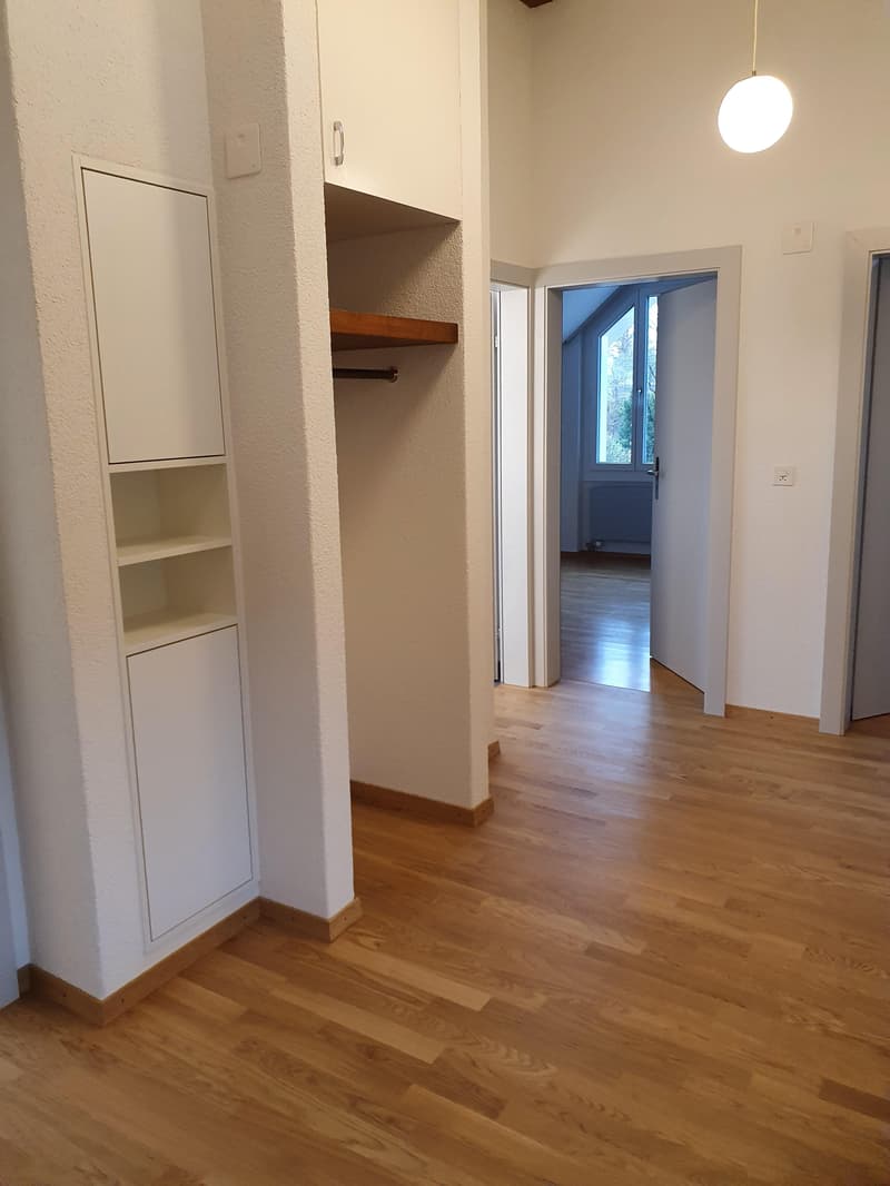 Ampio appartamento in mansarda (4)