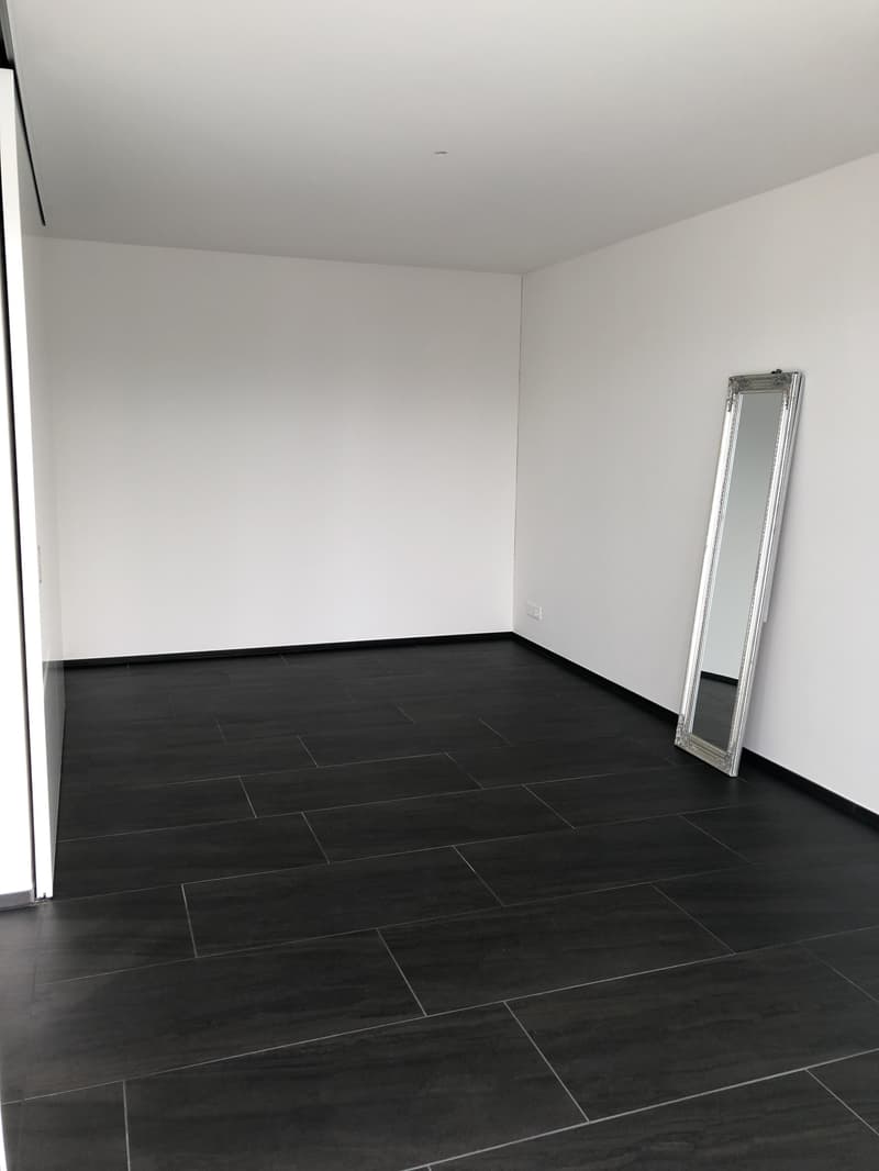 2.5 room apartment in Bülach (6)