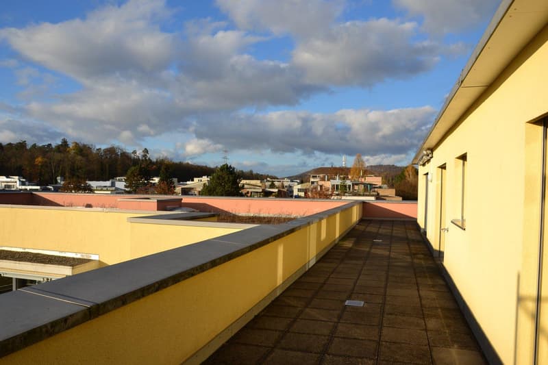 Grosszügige Attikawohnung mit 180-Grad-Panoramablick in Mehrgenerationensiedlung (2)