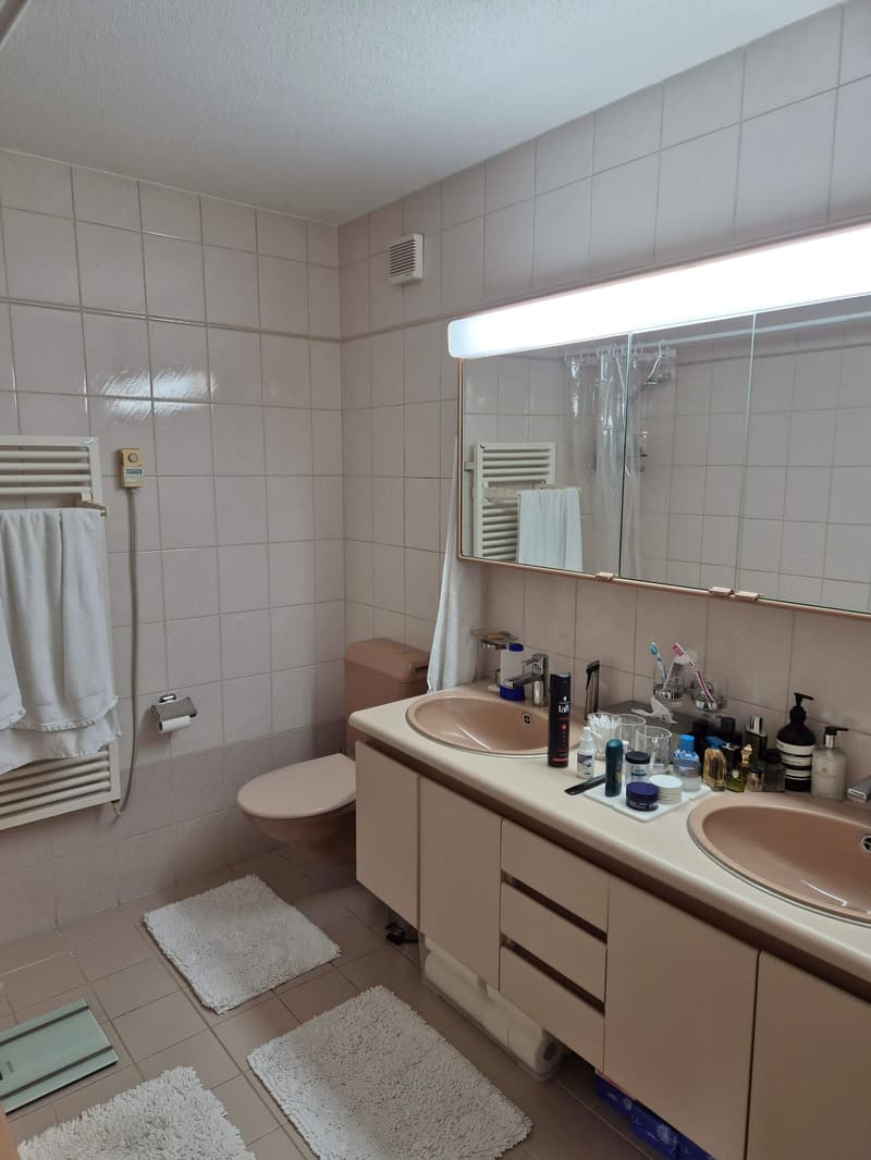 Zentral in Zürich wohnen (11)