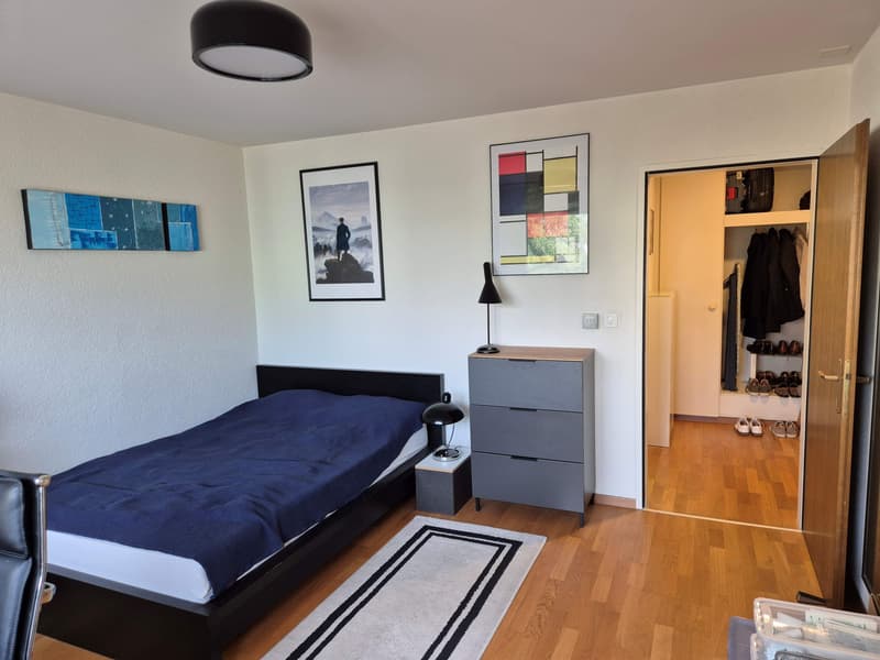Zentral in Zürich wohnen (9)