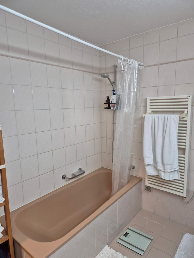 Zentral in Zürich wohnen (12)