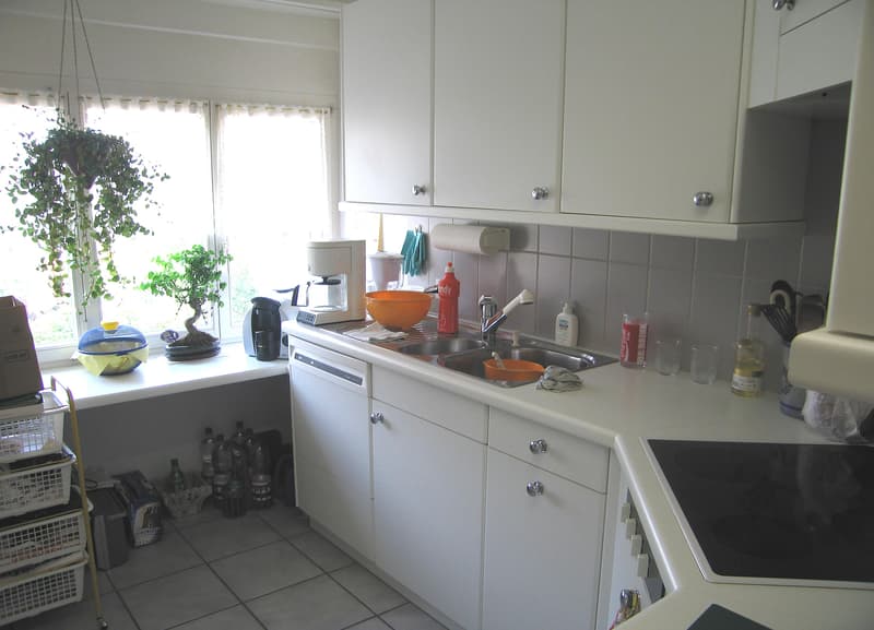 3.5 Zimmerwohnung Maisonette Wohnung im Dachgeschoss (5)