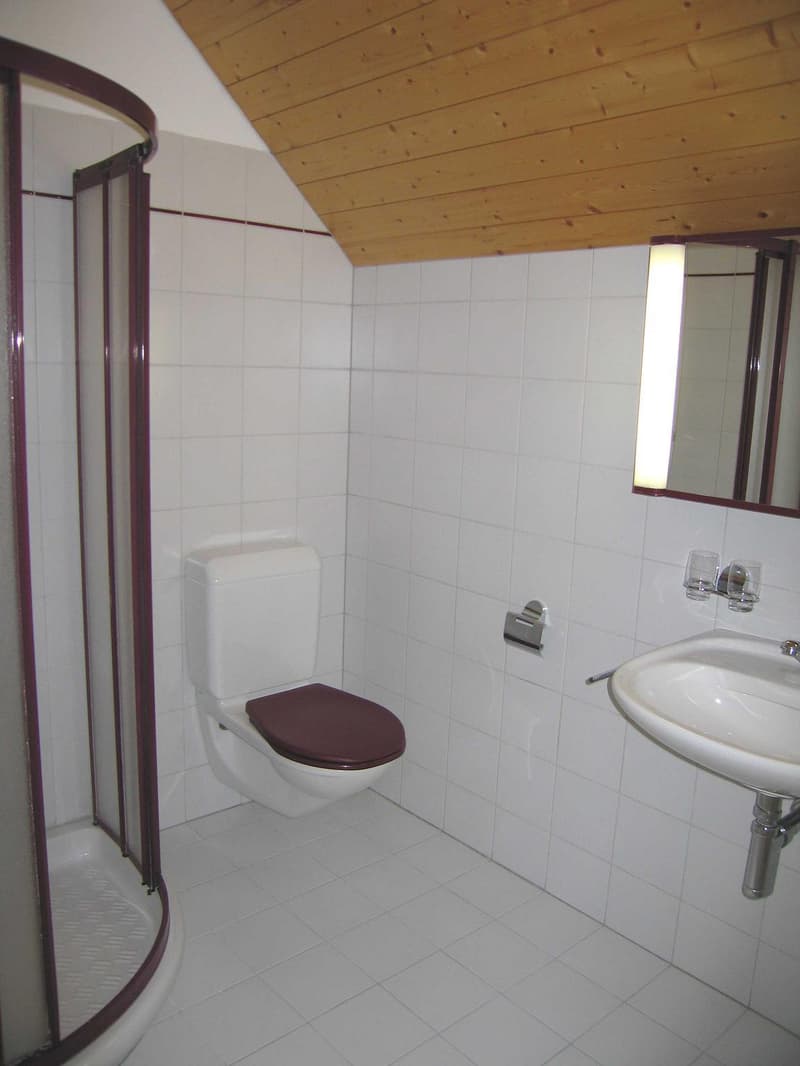 3.5 Zimmerwohnung Maisonette Wohnung im Dachgeschoss (6)