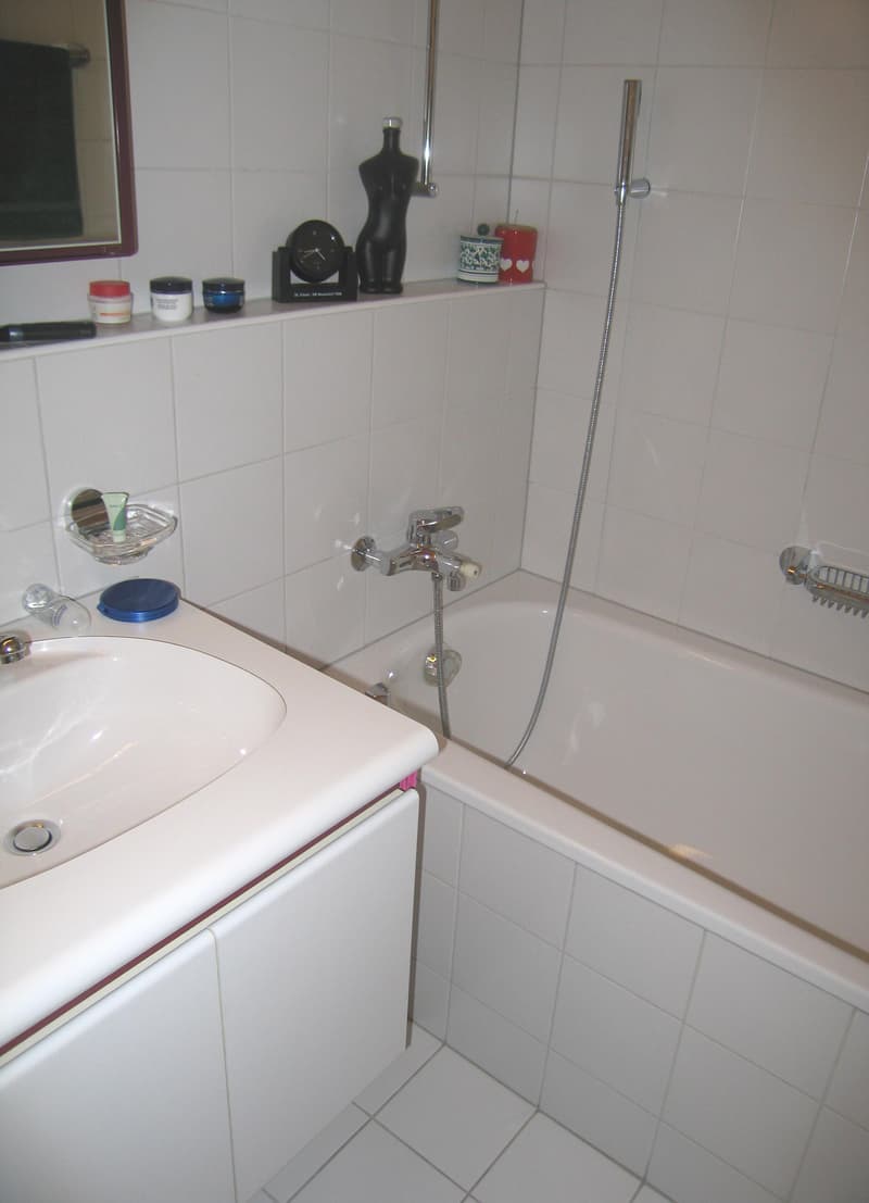 3.5 Zimmerwohnung Maisonette Wohnung im Dachgeschoss (4)