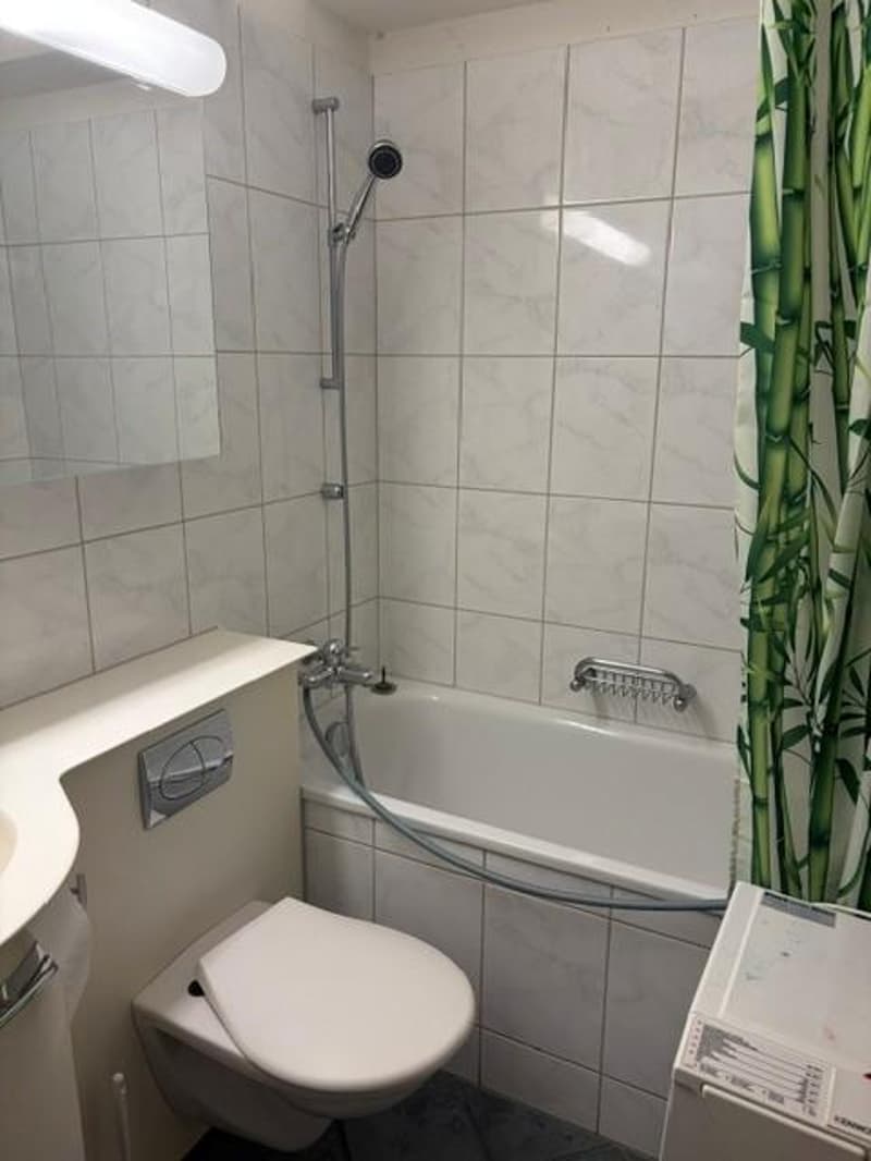 2.0 Zimmerwohnung in Winterthur (6)