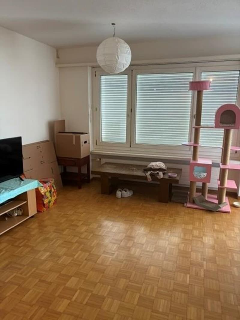 2.0 Zimmerwohnung in Winterthur (3)