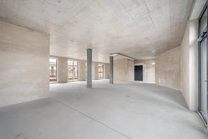 Large open-plan space with concrete walls and ceiling, multiple windows, and a single door visible.