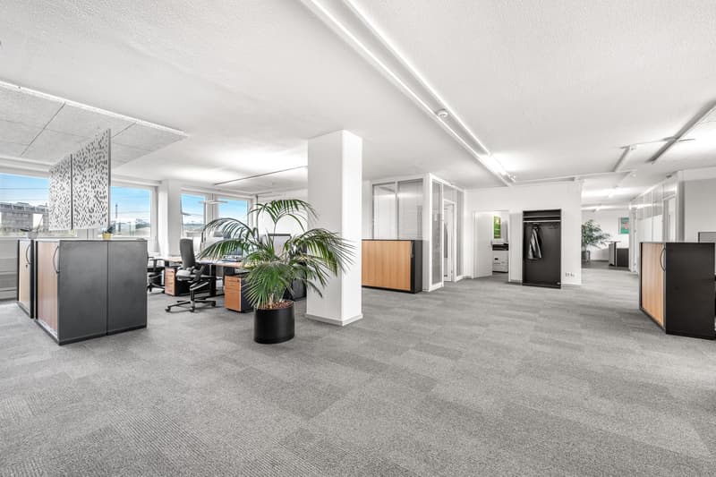 modern office space, gray carpet, white walls, central column, office desks with computers, glass partition, glass windows, plants