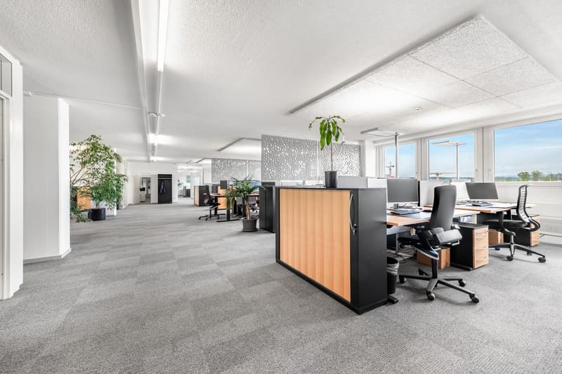 open floor plan, gray carpet, white walls, modern office desks, black swivel chairs, potted plants, large windows, natural light