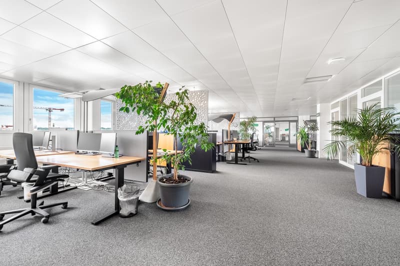 Bright and airy office with large windows, grey carpet, large central potted plant, desk with monitors, trash bin, office chairs