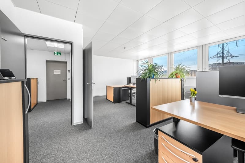 modern office space, desk, chairs, computer monitor, plant, gray walls and flooring, large windows