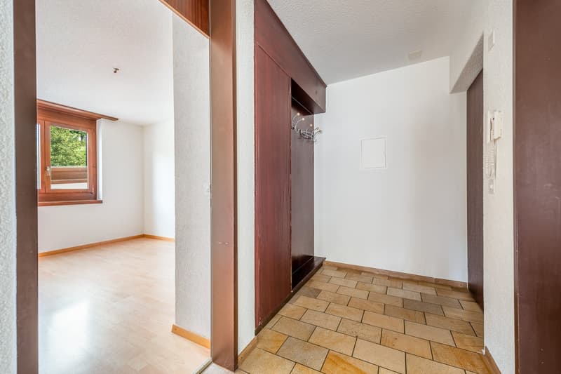 Corridor with tiled floor, wooden door, large window, closet, and telephone