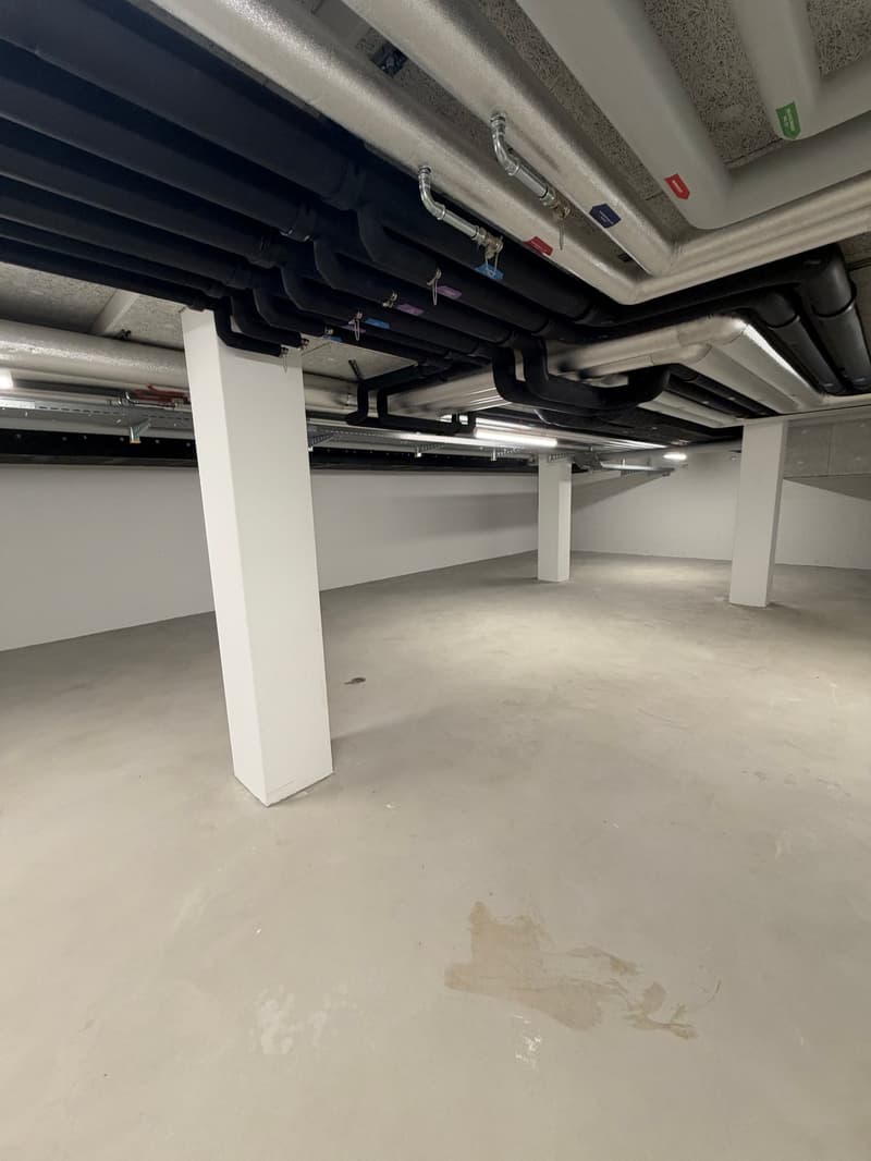 Gewerbe-/Hobbyraum im Untergeschoss – 124 m² in Adliswil, sofort verfügbar (3)