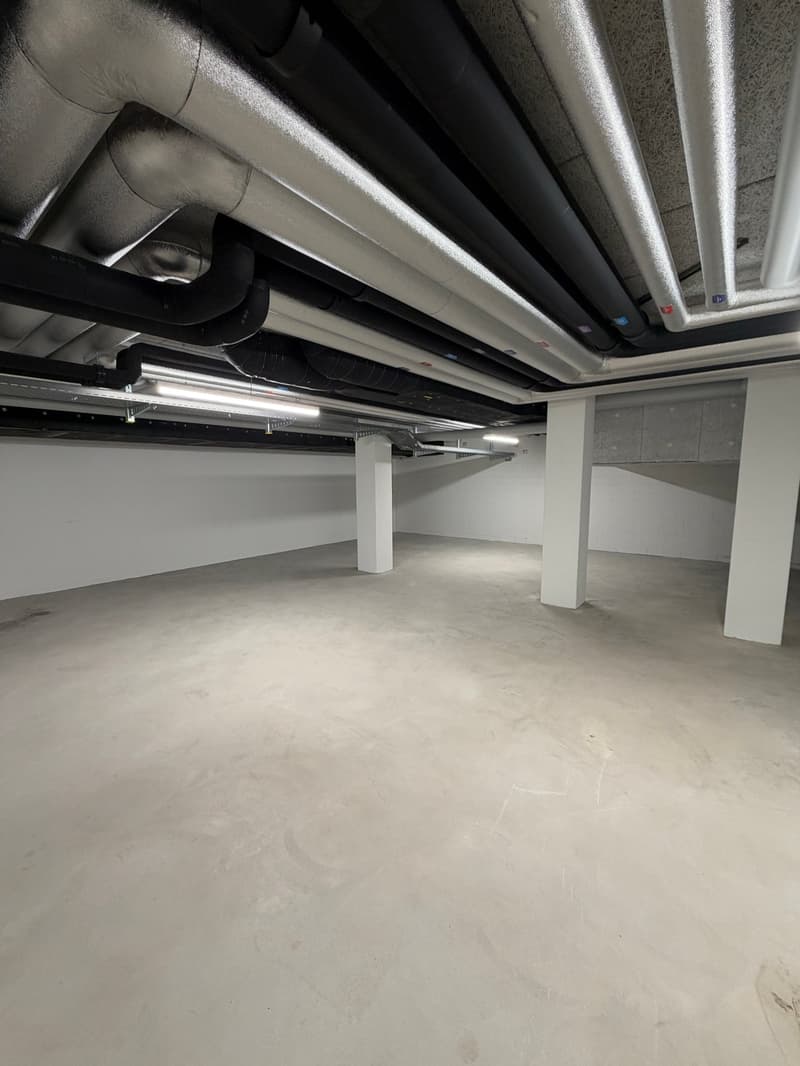 Gewerbe-/Hobbyraum im Untergeschoss – 124 m² in Adliswil, sofort verfügbar (9)