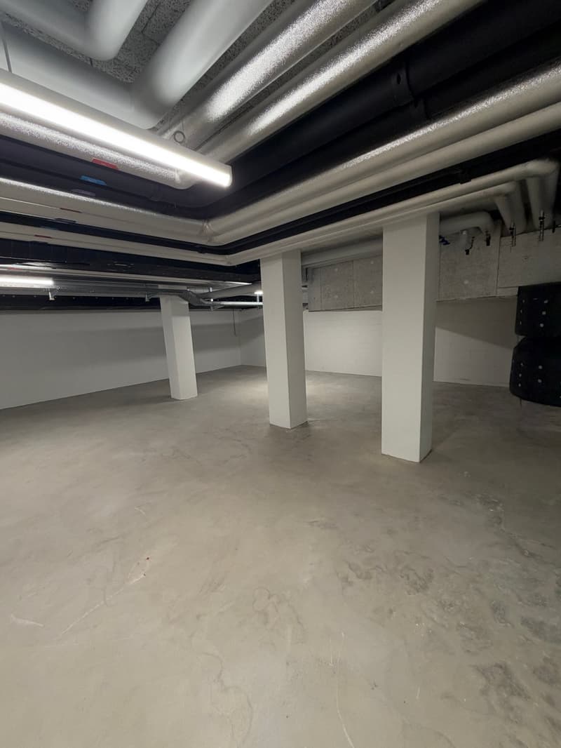 Gewerbe-/Hobbyraum im Untergeschoss – 124 m² in Adliswil, sofort verfügbar (8)