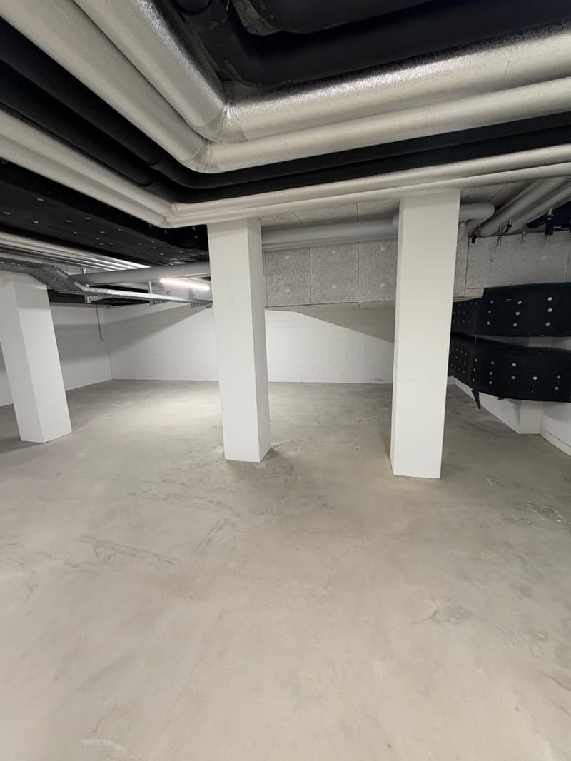 Gewerbe-/Hobbyraum im Untergeschoss – 124 m² in Adliswil, sofort verfügbar (7)