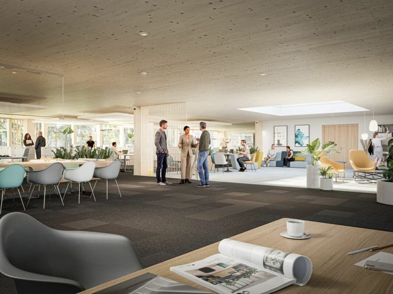 Newly built commercial park NEUHUUS - Office spaces tailored to your taste (4)