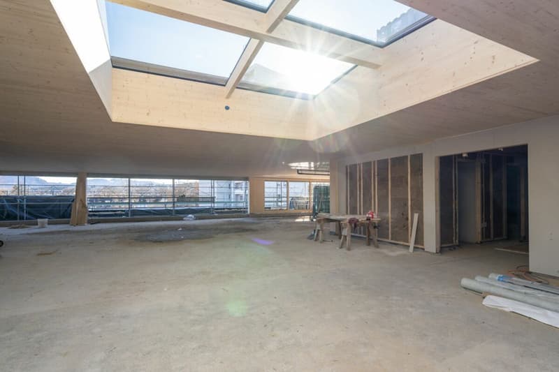 Newly built commercial park NEUHUUS - Office spaces tailored to your taste (3)