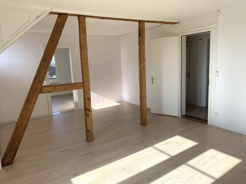 Appartamento accogliente di 3,5 locali al 1° piano (2)