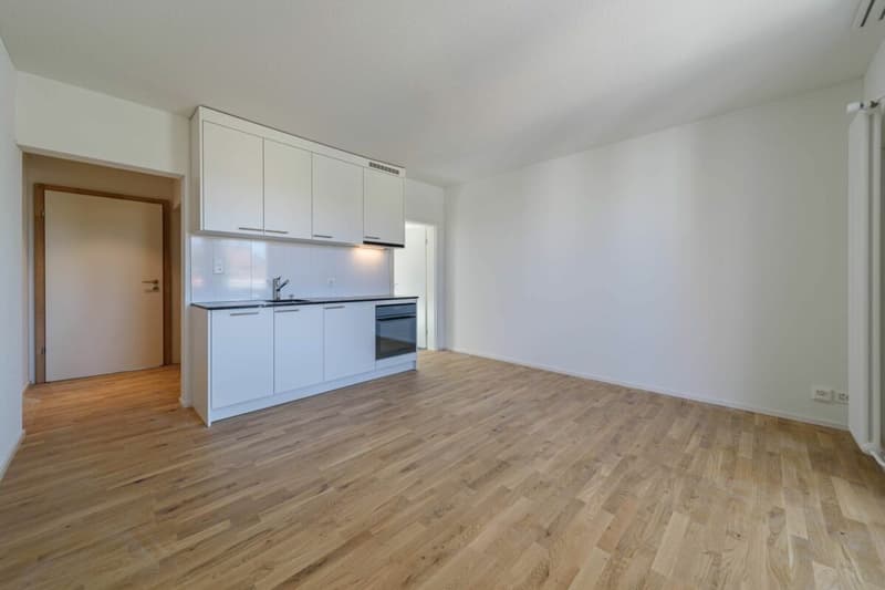 Appartement petit charmant à prix attractif (3)