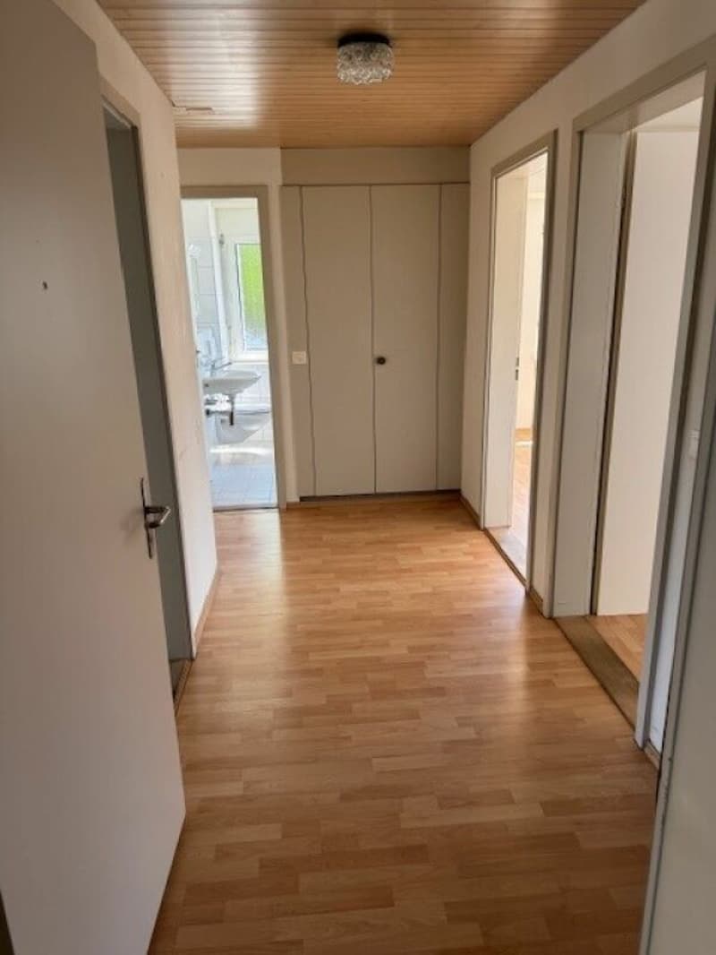 Charming, partially renovated 3.5-room apartment in the center (6)