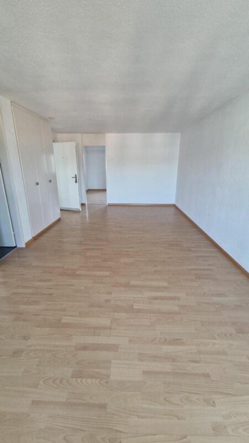 Appartamento 2.5 locali con charme (4)