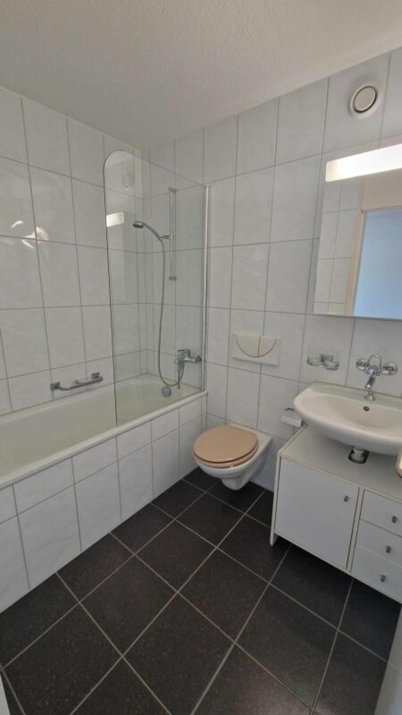 Appartamento 2.5 locali con charme (3)