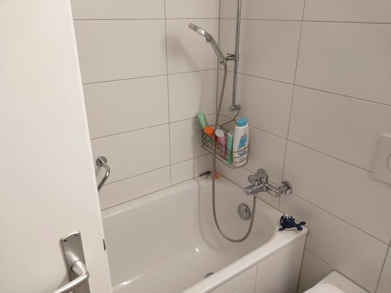 Single apartment at a fair price (4)
