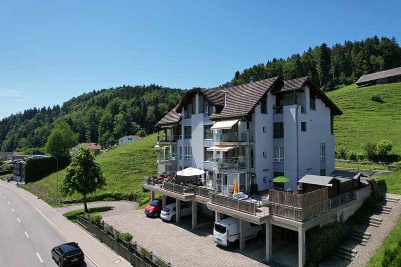 Habitation spacieuse avec jardin d'hiver, cheminée et terrasse impressionnante (2)